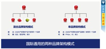 柔軟生活品牌營(yíng)銷(xiāo)策劃方案解析 以溫情策略塑造品牌靈魂